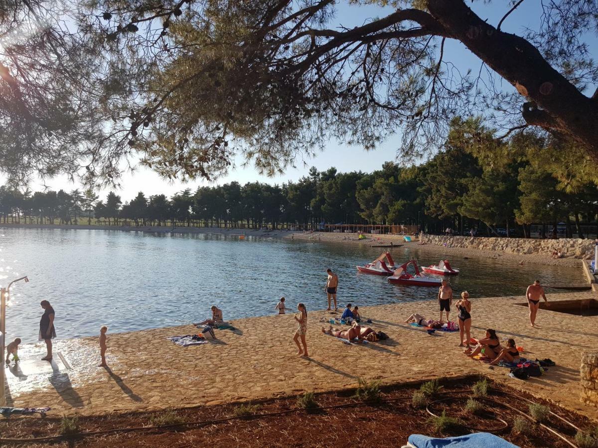 App Mirjana Apartment Novigrad  Bagian luar foto